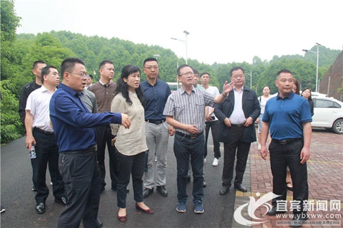 凝心聚力&nbsp;宜宾统一战线共助“世界樟海”发展(图1)