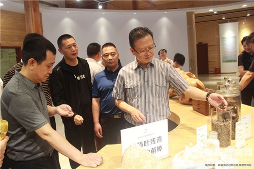 凝心聚力&nbsp;宜宾统一战线共助“世界樟海”发展(图3)