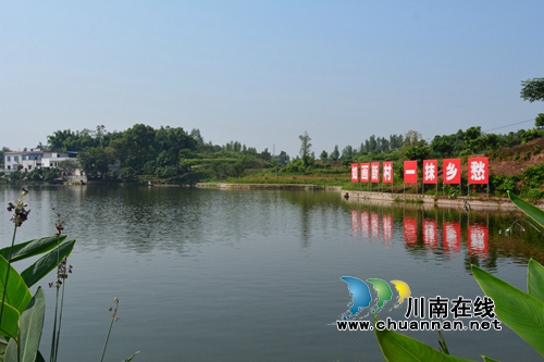 2019年龙马潭乡村文化旅游节6月1日启动(图1)