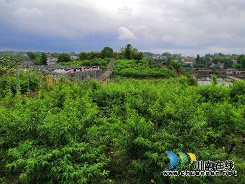 2019年龙马潭乡村文化旅游节6月1日启动(图7)