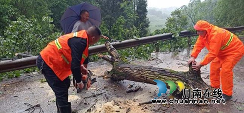 合江：甘竹路一行道树折断阻路&nbsp;养护段迅速清障(图3)