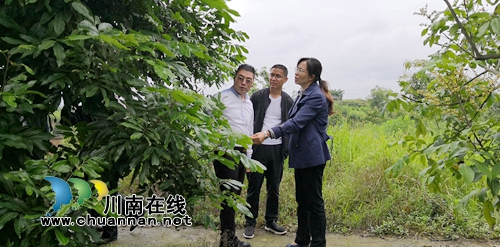 泸县潮河镇开展贫困村脱贫攻坚及人居环境治理工作调研(图2)