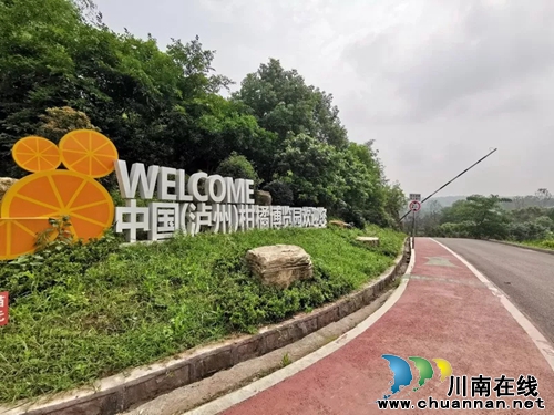 龙马潭松滩湖环湖马拉松赛的火爆，你想象不到(图4)