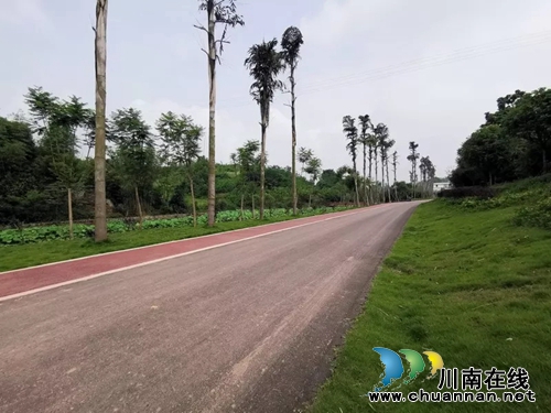 龙马潭松滩湖环湖马拉松赛的火爆，你想象不到(图5)