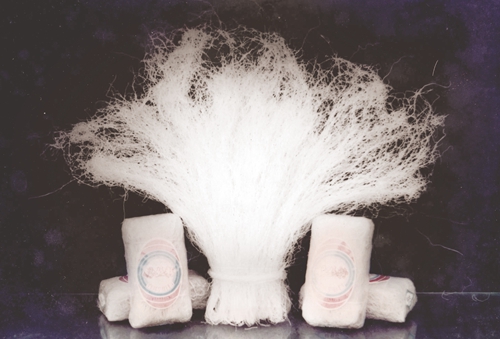 泸州市粉丝厂:千丝萦绕男儿志 乡食游传万户家(图5) 泸州市粉丝厂:千丝萦绕男儿志 乡食游传万户家(图5)