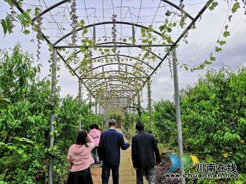 去龙马潭双加十里渔湾，嗨翻端午节！(图7)