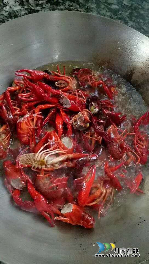 龙马潭双加镇：“十里渔湾”“鱼”味无穷！(图13)