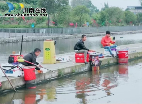 龙马潭双加镇：“十里渔湾”“鱼”味无穷！(图7)