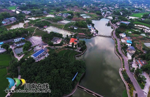 龙马潭双加镇：“十里渔湾”“鱼”味无穷！(图16)