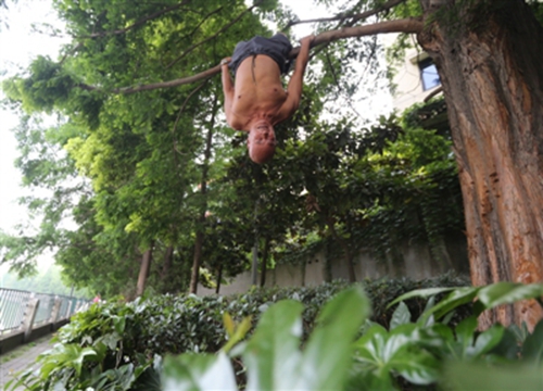 倒挂树做20个屈体翻转&nbsp;成都“猿人大爷”走红(图1)
