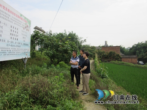 陈佳到泸县潮河镇督导当前重点工作并开展河长制巡查(图1)