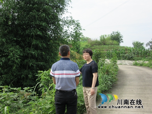陈佳到泸县潮河镇督导当前重点工作并开展河长制巡查(图3)