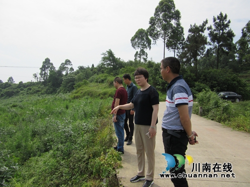 陈佳到泸县潮河镇督导当前重点工作并开展河长制巡查(图4)