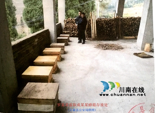 伙同盗窃他人蜜蜂&nbsp;古蔺三男子栽了(图3)