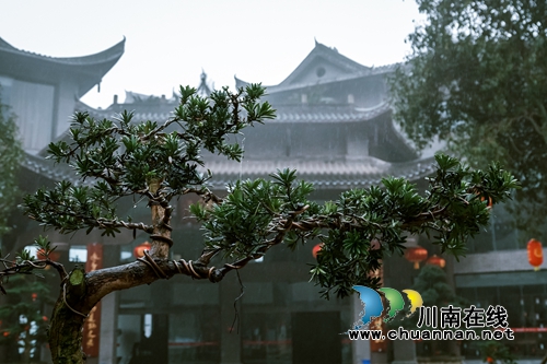 中国酒城泸州这个酒庄，值得一看！(图10)