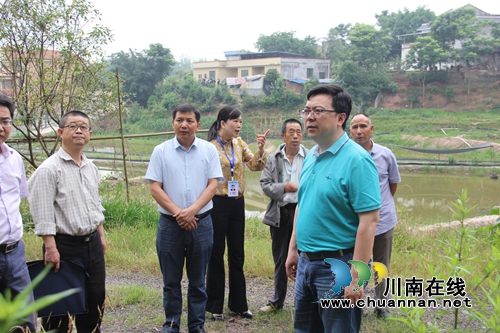泸州市自然资源和规划局副局长江勇强率队督导泸县云龙镇地质灾害防控工作(图3)
