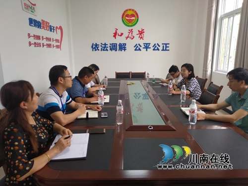 泸县县委组织部到云龙镇调研智慧党建工作(图1)