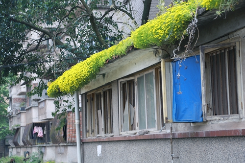 尘封的时代记忆 难忘那青春韶华(图12) 尘封的时代记忆 难忘那青春韶华(图12)