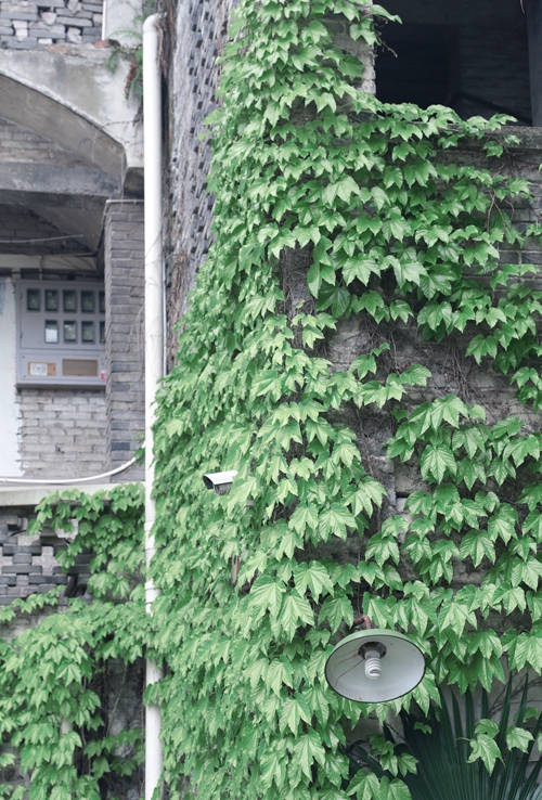 尘封的时代记忆 难忘那青春韶华(图16) 尘封的时代记忆 难忘那青春韶华(图16)