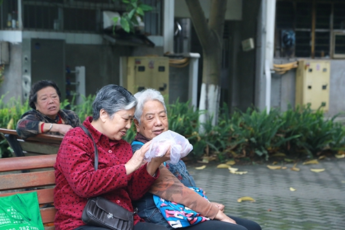 尘封的时代记忆 难忘那青春韶华(图17) 尘封的时代记忆 难忘那青春韶华(图17)