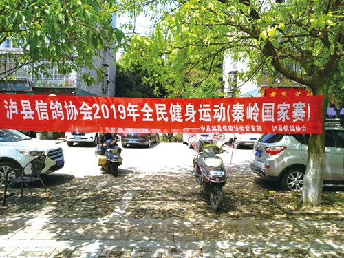 趣味协会散发原生力量 行业抱团共谱快乐篇章(图1) 趣味协会散发原生力量 行业抱团共谱快乐篇章(图1)