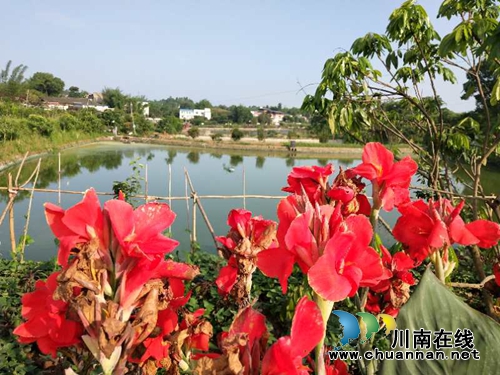 中华垂钓大赛泸州选拔赛即将开战,报名从速(图8) 中华垂钓大赛泸州选拔赛即将开战,报名从速(图8)