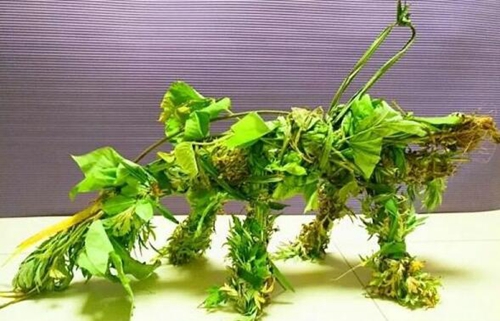 首届全国民族民间龙舟公开赛带您嗨转宜宾(图4) 首届全国民族民间龙舟公开赛带您嗨转宜宾(图4)