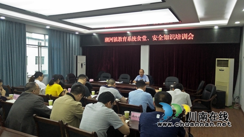 泸县潮河镇组织开展教育系统安全知识培训(图1)