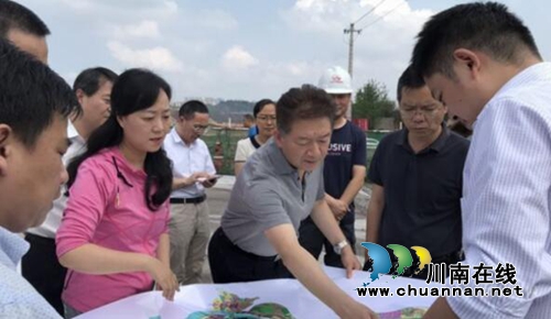 杨林兴带队调研泸州城市修补和生态修复工作(图1)