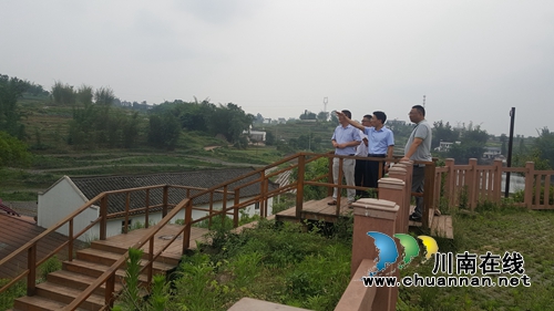 谢明春带队调研宜宾长兴镇白酒生态园酿酒专用粮红粱种植基地建设(图2)