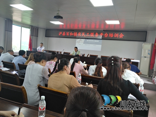 泸县百和镇召开农民工服务平台培训会(图1)
