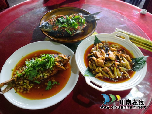 龙马潭乡村文化旅游节全指南来了！(图17)