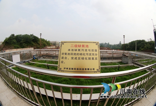 青山绿水&nbsp;泸州龙马潭书写绿色发展新答卷(图7)