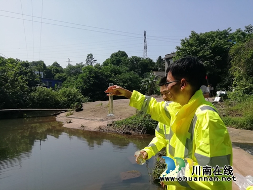 龙马潭区鱼塘街道开展突发山火和水上环境污染事故应急演练(图3)