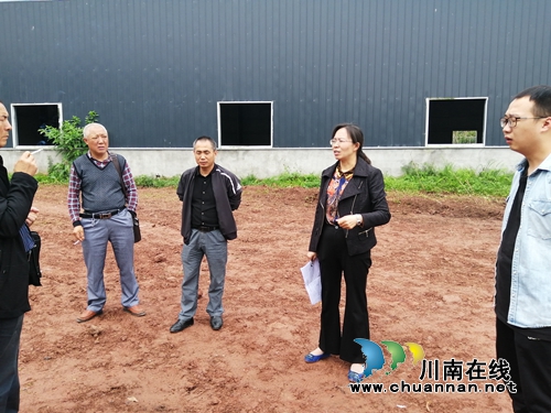 泸县潮河镇督导乡村振兴试点村农村人居环境治理工作(图1)