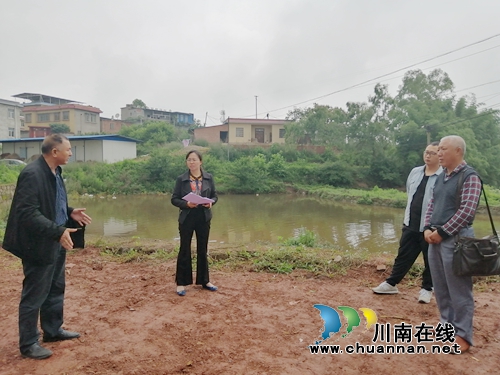 泸县潮河镇督导乡村振兴试点村农村人居环境治理工作(图2)