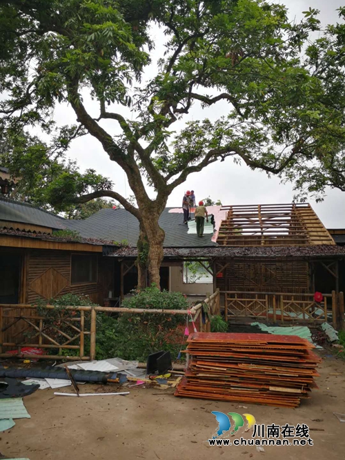 江阳区整治违法占用国家资源挤占生态空间问题(图2) 江阳区整治违法占用国家资源挤占生态空间问题(图2)