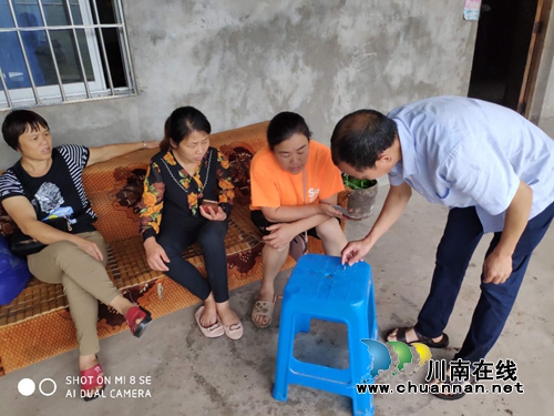 纳溪区棉花坡镇：吹响“虫口夺粮”号角，全面做好防控工作(图2)