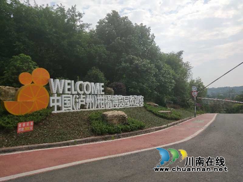 龙马潭乡村文化旅游节：万事俱备&nbsp;明日开幕(图5)