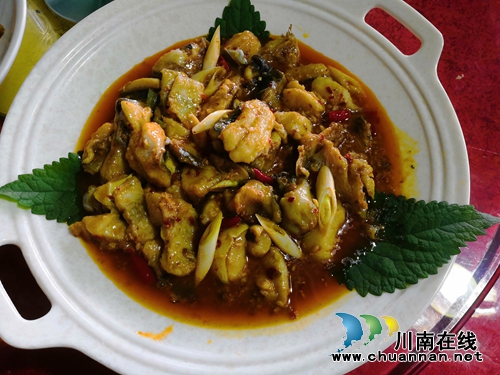 龙马潭乡村文化旅游节：万事俱备&nbsp;明日开幕(图26)