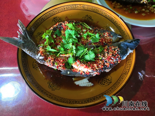 龙马潭乡村文化旅游节：万事俱备&nbsp;明日开幕(图29)