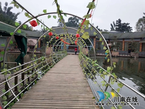 龙马潭乡村文化旅游节：万事俱备&nbsp;明日开幕(图32)