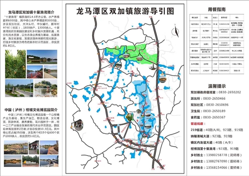 龙马潭乡村文化旅游节：万事俱备&nbsp;明日开幕(图34)