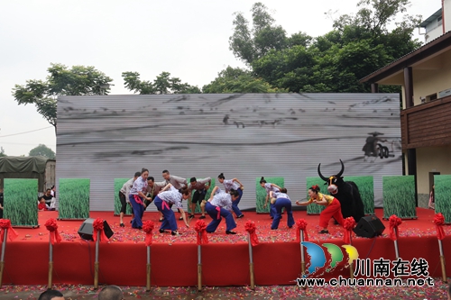 2019龙马潭区乡村文化旅游节启动&nbsp;热闹非凡(图3)