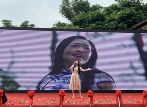 2019龙马潭区乡村文化旅游节启动&nbsp;热闹非凡(图4)