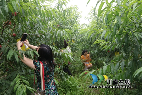 2019龙马潭区乡村文化旅游节启动&nbsp;热闹非凡(图12)