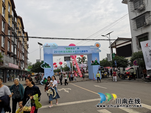 2019龙马潭区乡村文化旅游节启动&nbsp;热闹非凡(图10)