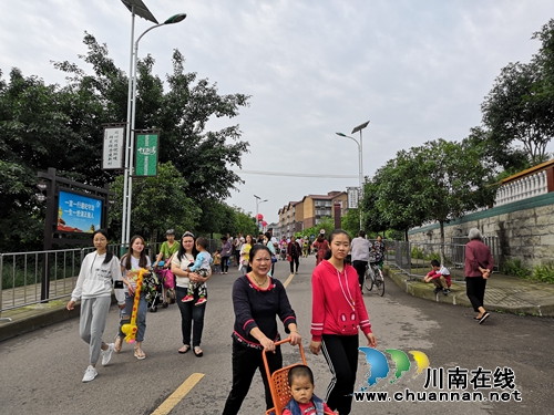 2019龙马潭区乡村文化旅游节启动&nbsp;热闹非凡(图11)