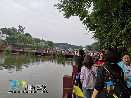 2019龙马潭区乡村文化旅游节启动&nbsp;热闹非凡(图14)