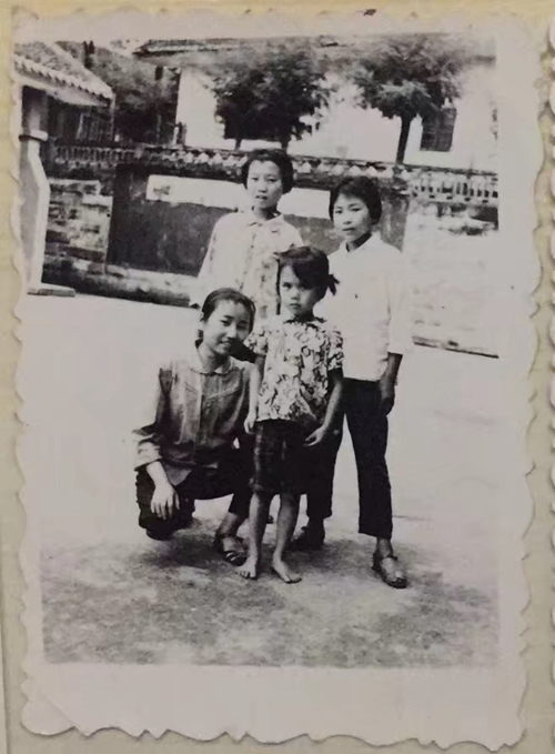 年年岁岁节相似&nbsp;岁岁年年人不同(图6)